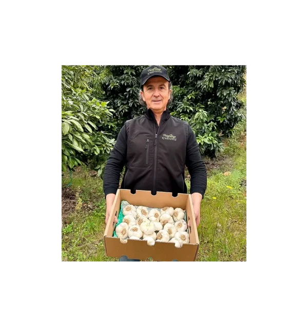 Imagen del producto