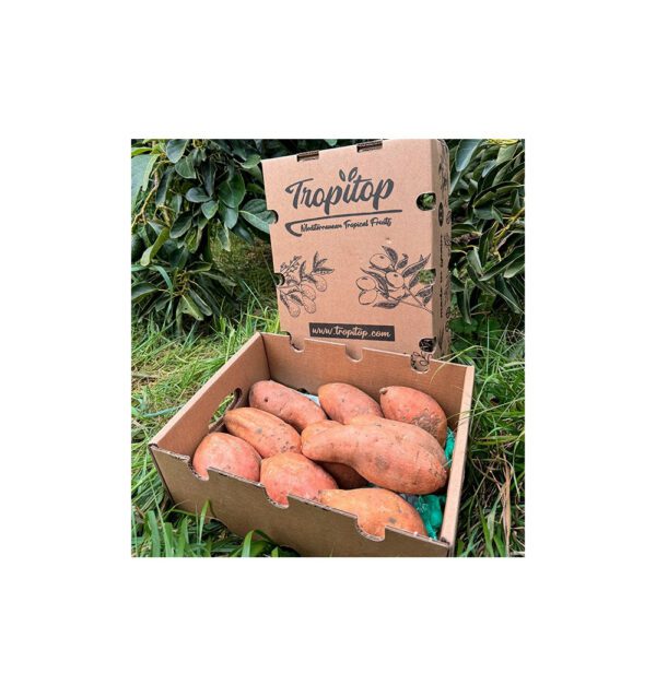 Batata
