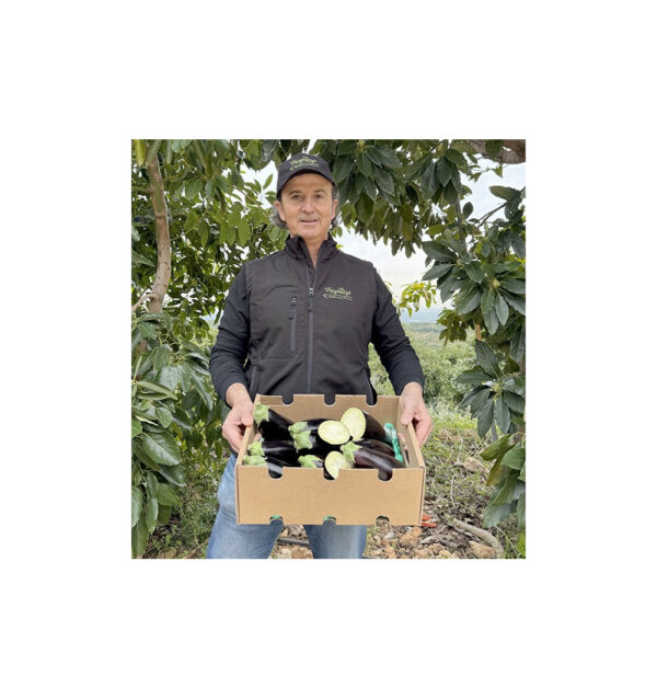 Imagen del producto