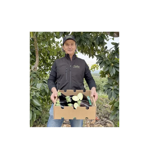 Imagen del producto