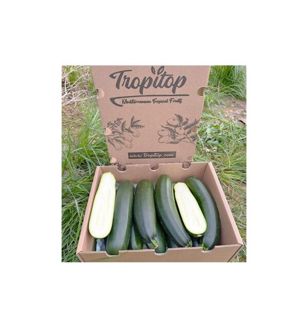 Calabacín negro