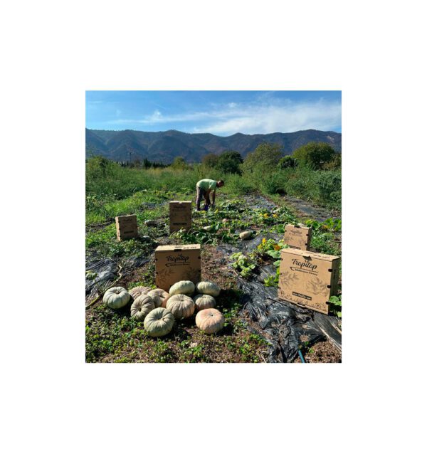 Imagen del producto