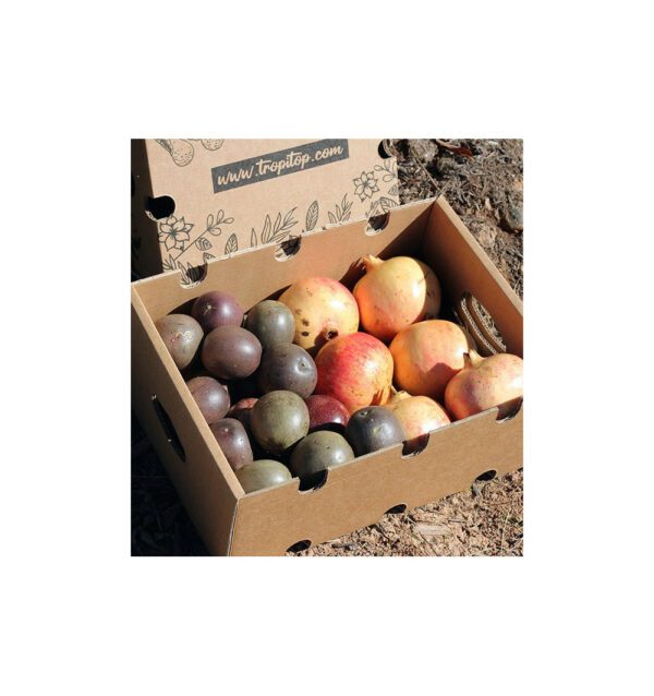 Fruta de la pasión y granada