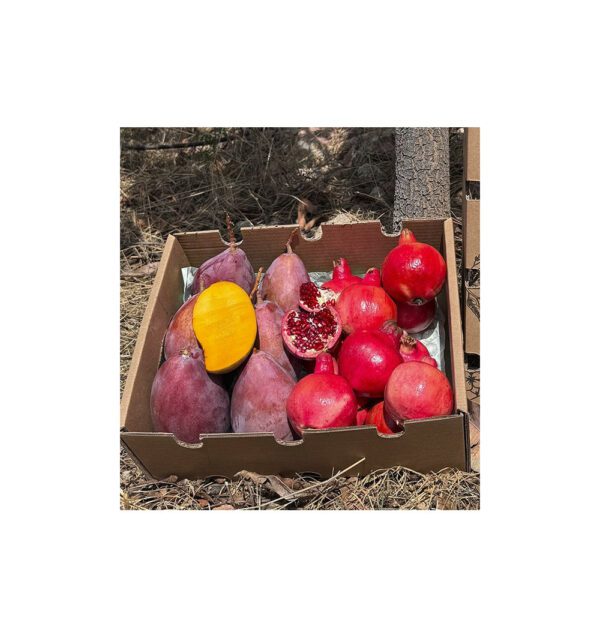 Granada y mango mix