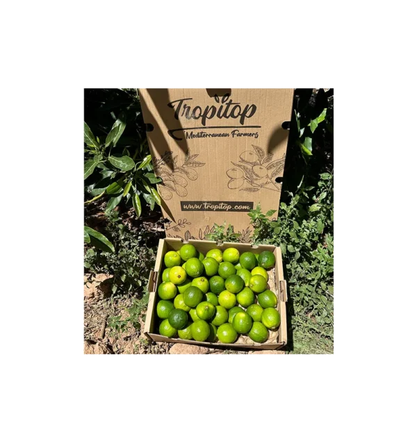 Imagen del producto