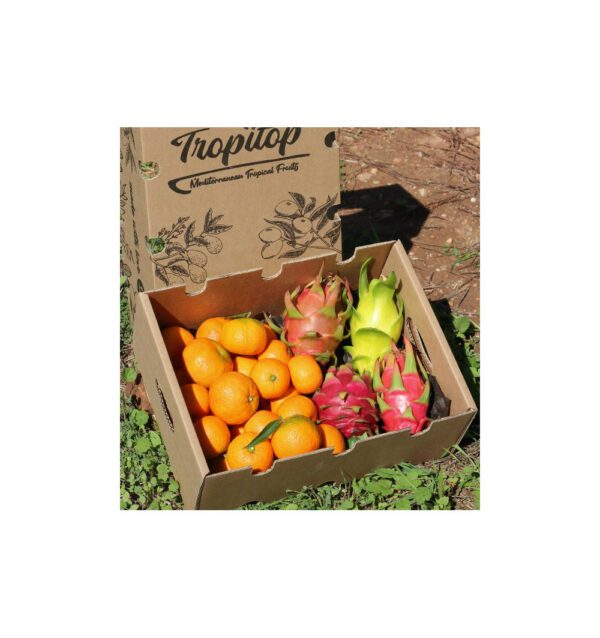 Imagen del producto