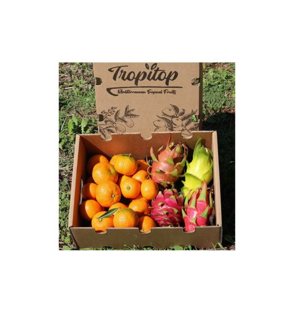 Imagen del producto