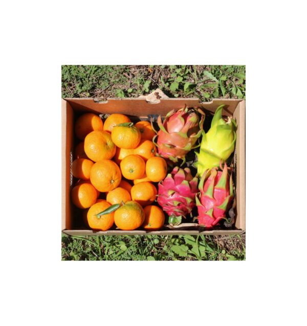 Mandarina y pitahaya