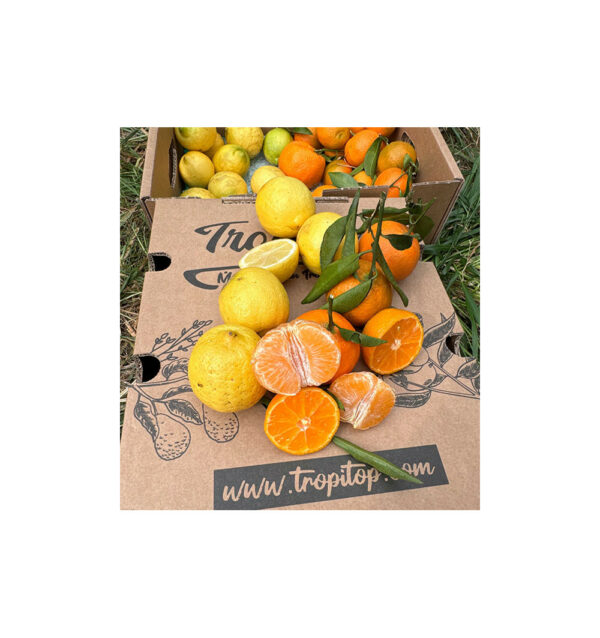 Mandarinas y limones