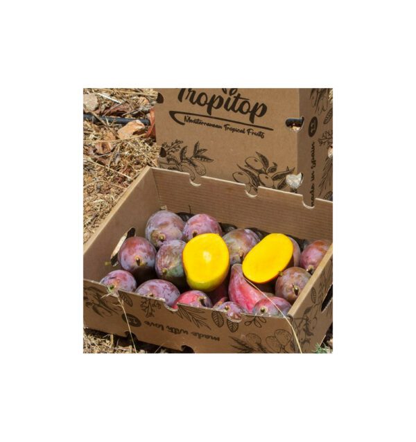 Mangos ecológicos