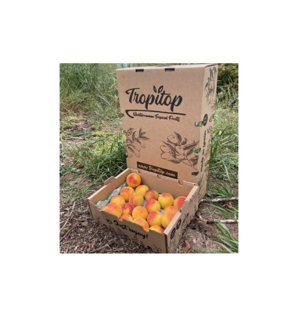 Melocotón amarillo