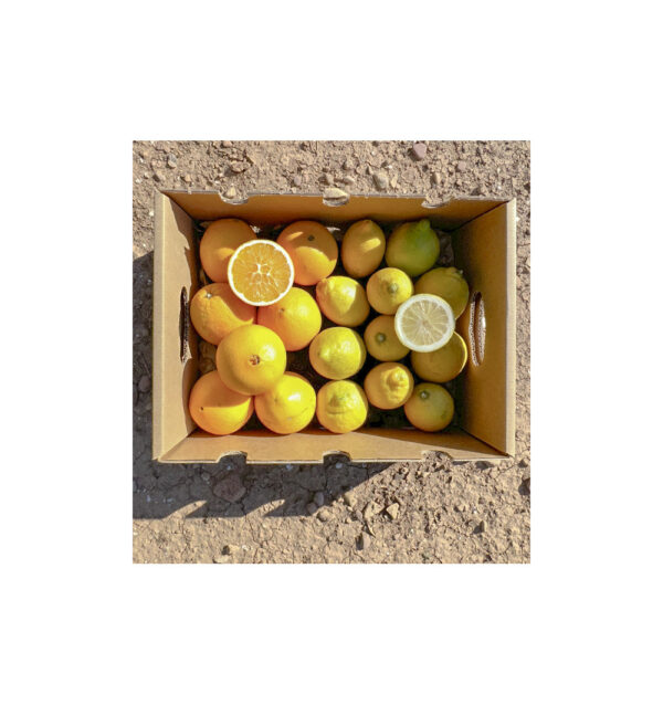 Imagen del producto