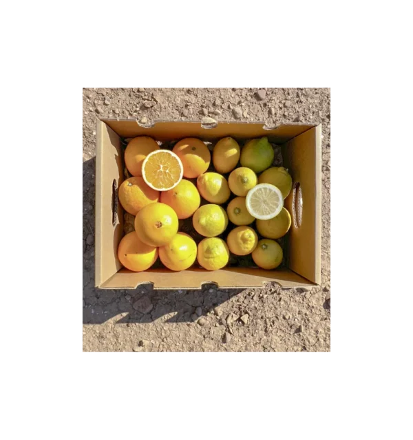 Imagen del producto