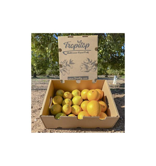 Naranjas y limones