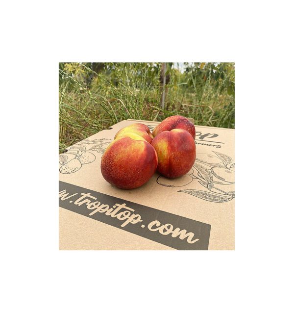 Nectarinas