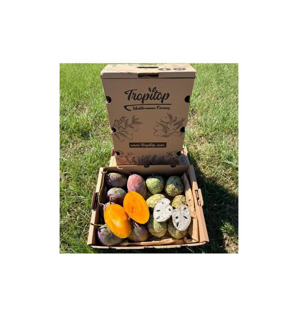 Pack chirimoyas y mangos españoles