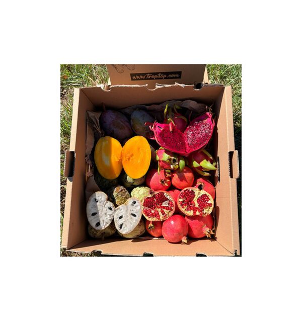 Imagen del producto