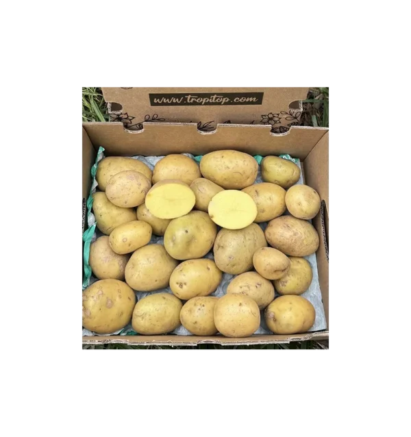 Imagen del producto