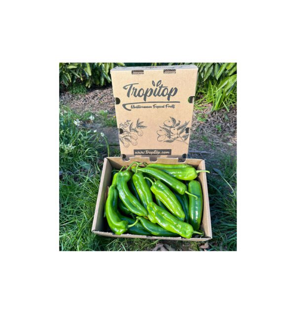 Pimientos italianos verdes