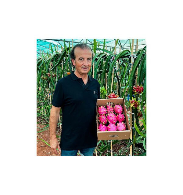 Imagen del producto