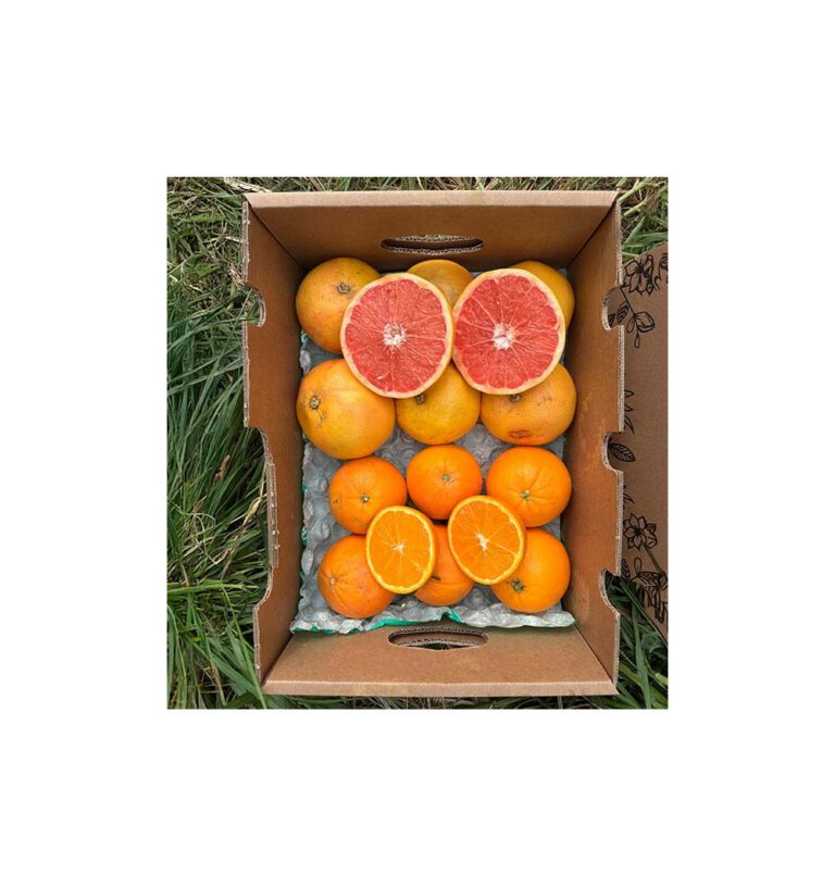 Types of oranges: varieties, flavours and which to choose