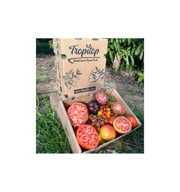 Imagen del producto
