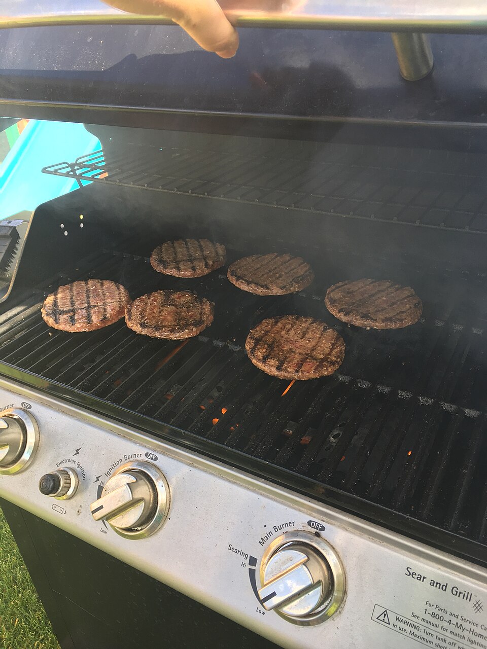 Varias hamburguesas genéricas cocinándose a la parrilla, sin identificación de especie