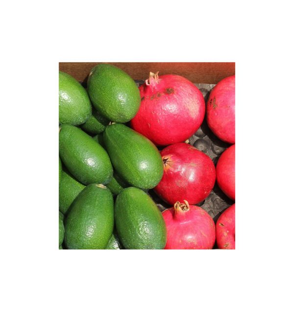 Imagen del producto