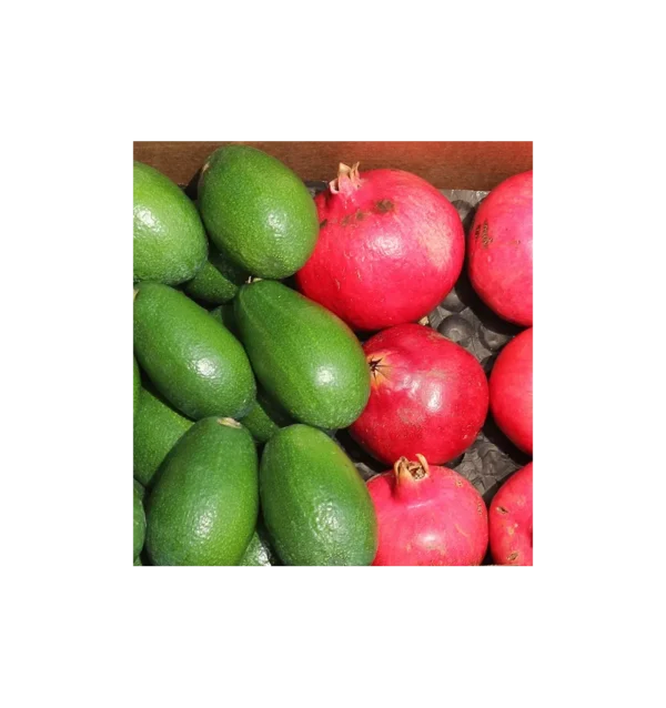 Imagen del producto