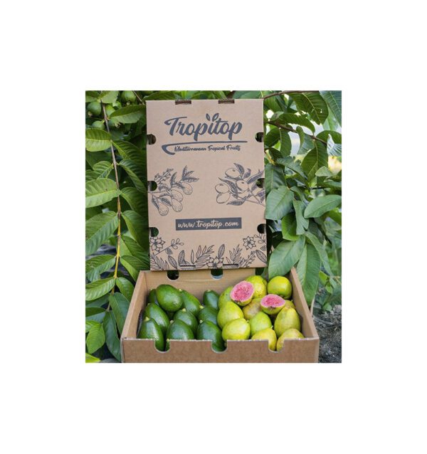 Imagen del producto