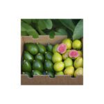 Imagen siguiente del producto