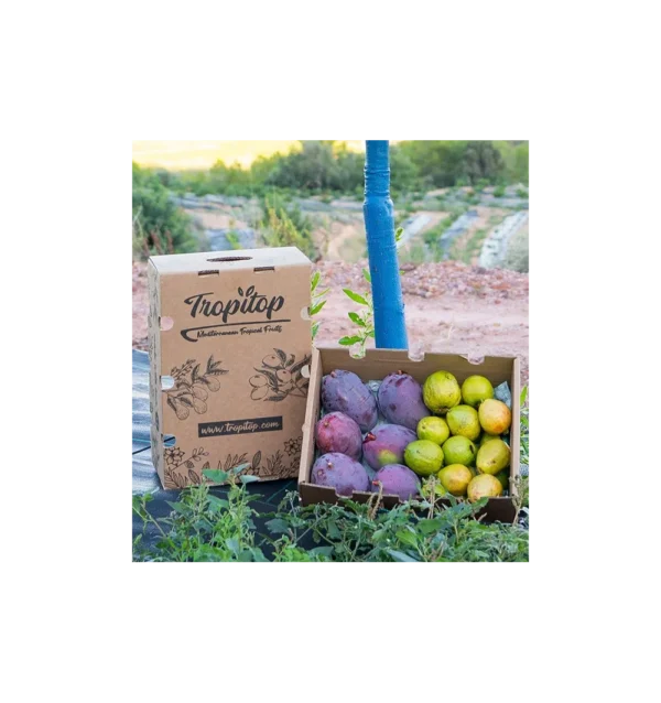 Imagen del producto