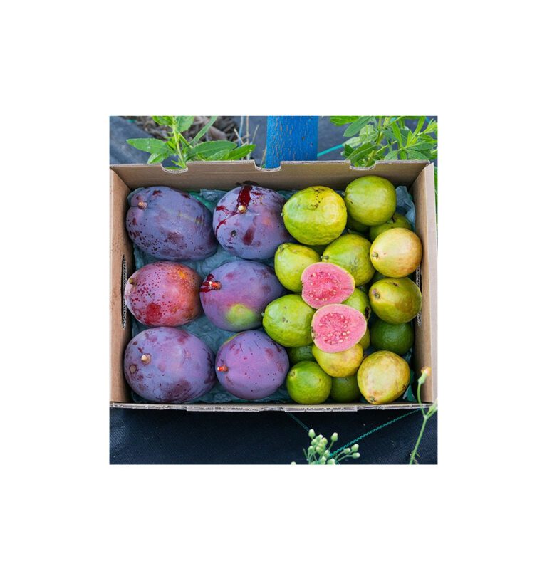 Cómo saber si un mango está maduro y cómo elegir uno bueno