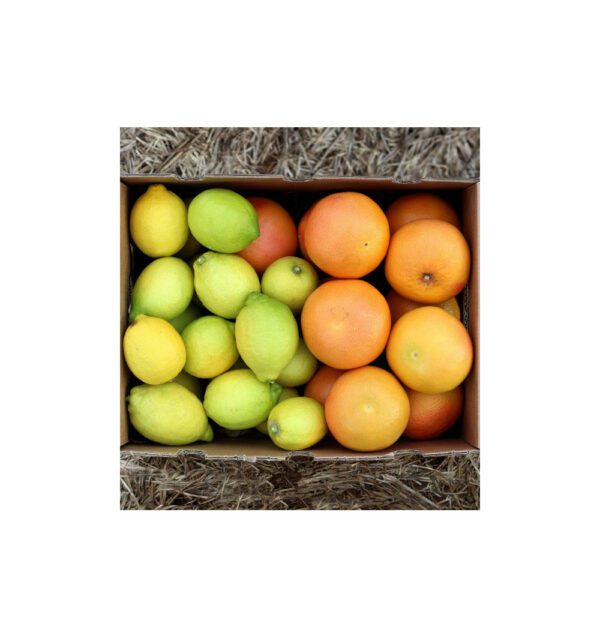 Pomelos y limones