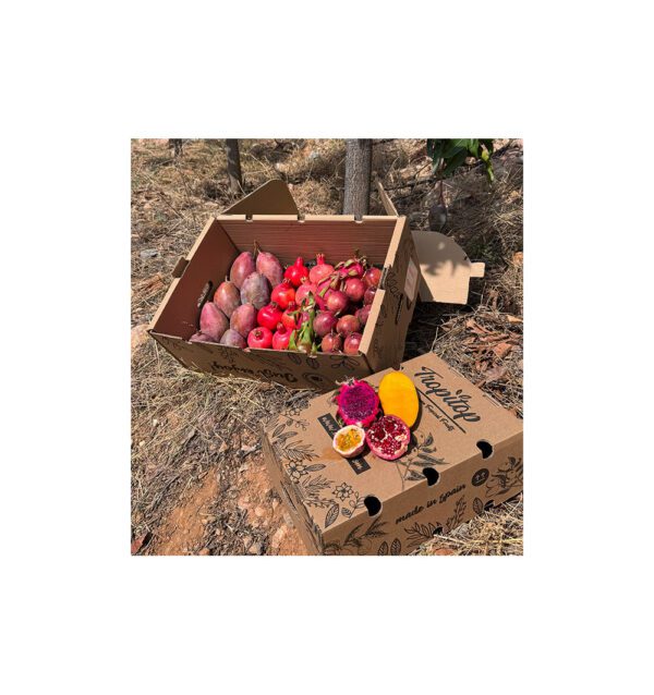 Mix de fruta de la pasión, pitahaya, mango y granada