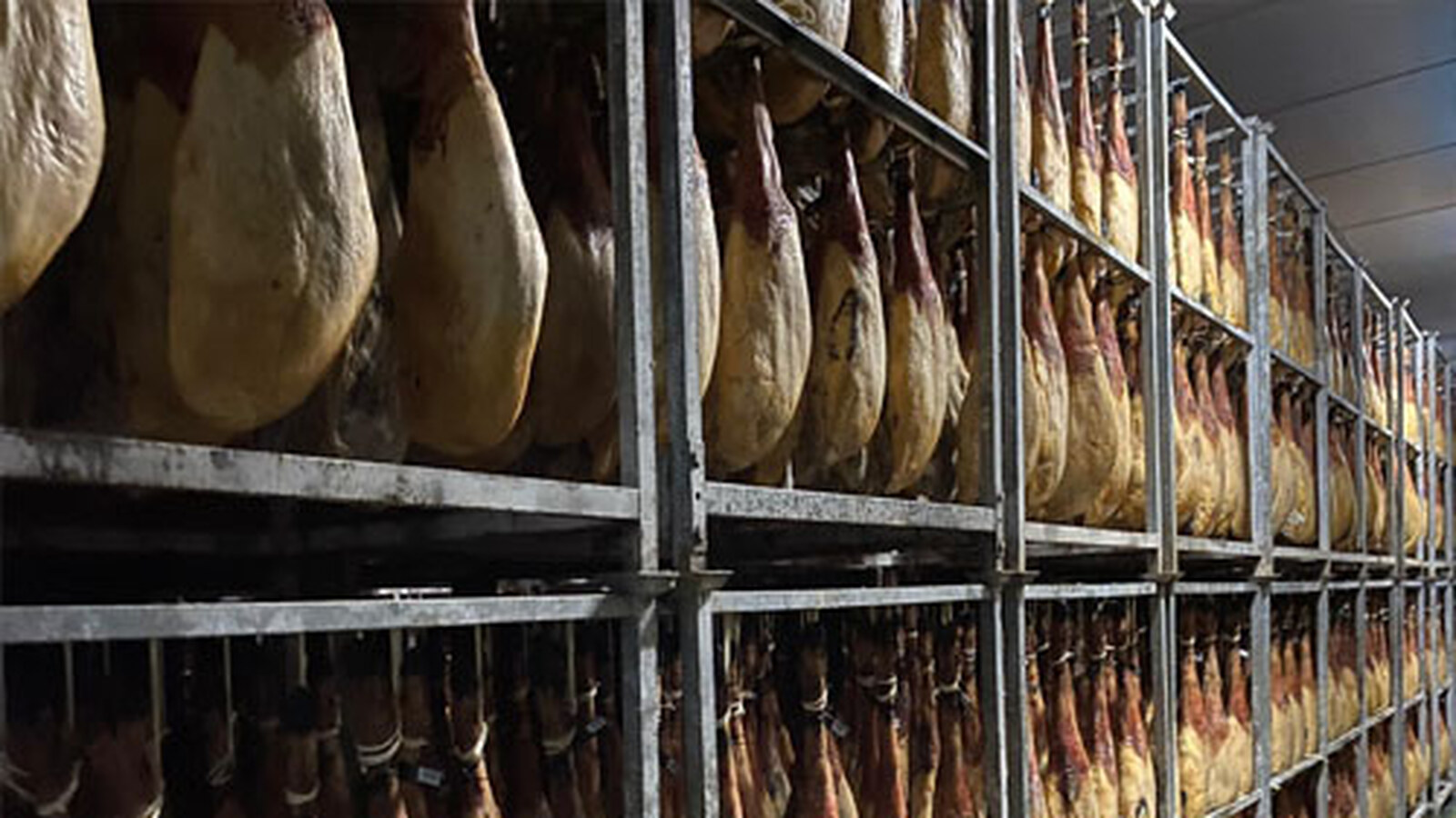 Piezas de jamón ibérico enteras conservándose en bodega, sin marcas visibles