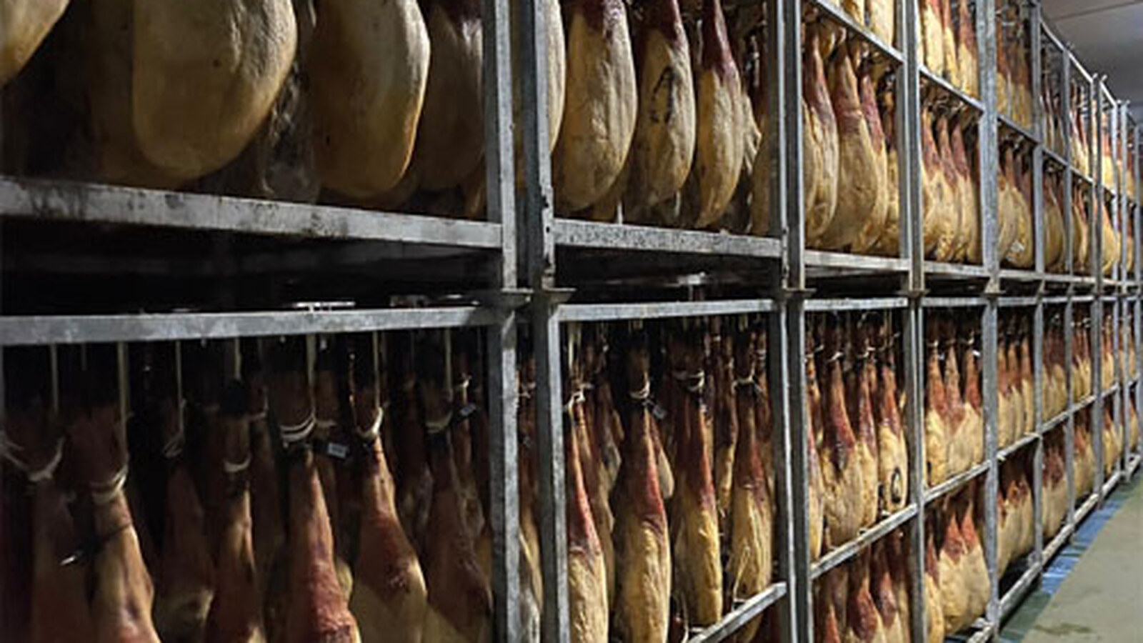 Piezas ibéricas enteras en bodega para ilustrar la elección entre jamón y paleta