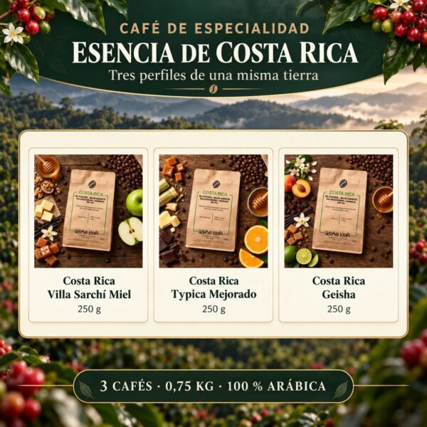 Pack degustación de café de especialidad – Esencia de Costa Rica – selección de bolsas de café